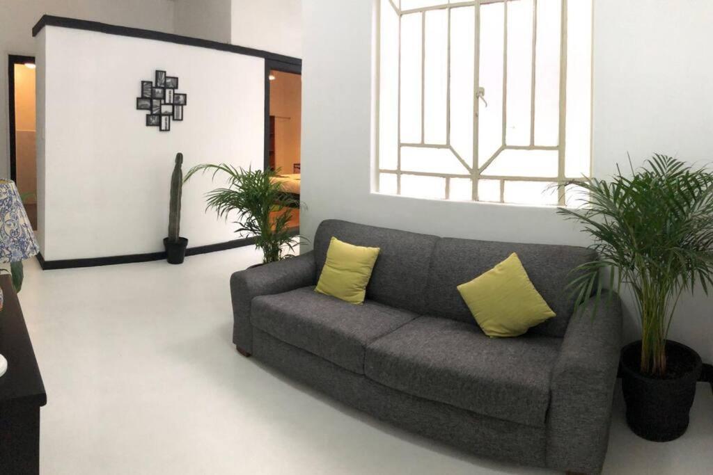 C1 En Condesa Amsterdam